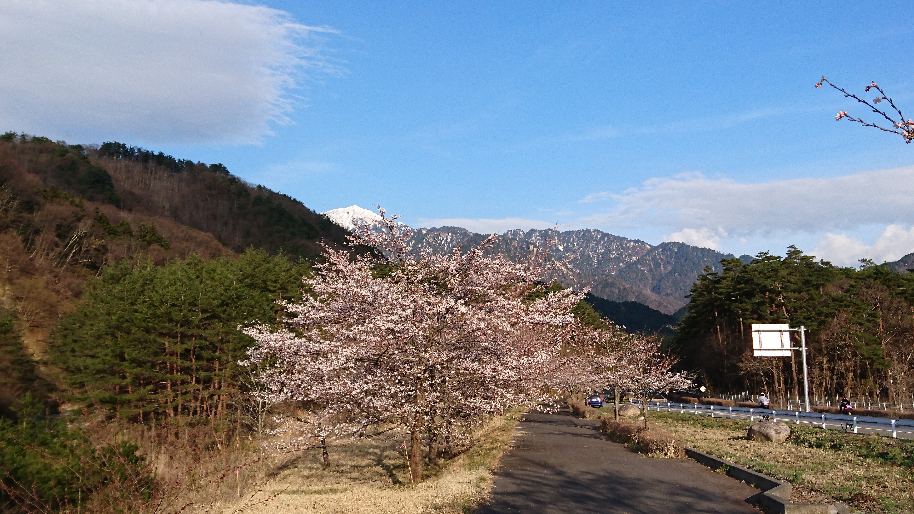桜のアルプスあづみのセンチュリーライド2019