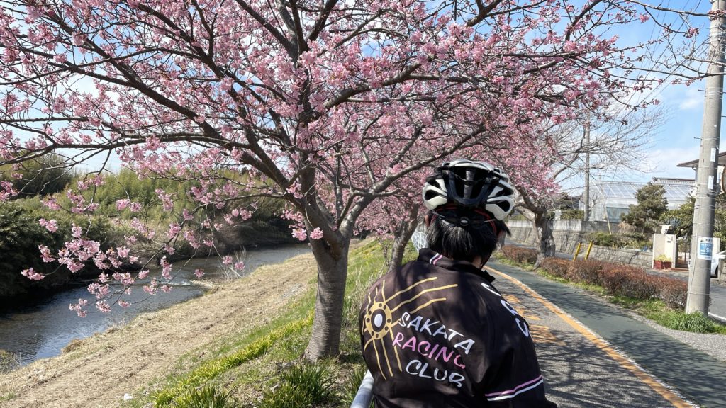 2月の走行会は延期で桜満開！