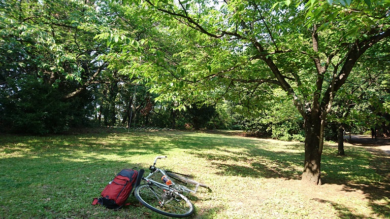 自粛中のお散歩サイクリングコース003（富津市下洲・ふれあい公園方面）