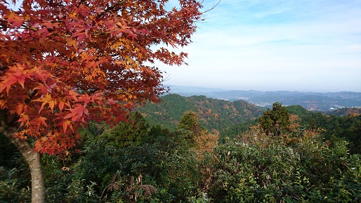 亀山養老渓谷紅葉サイクリング