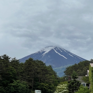 ドギーパークからの富士山