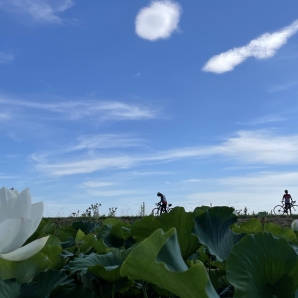 2022霞ヶ浦一周サイクリング